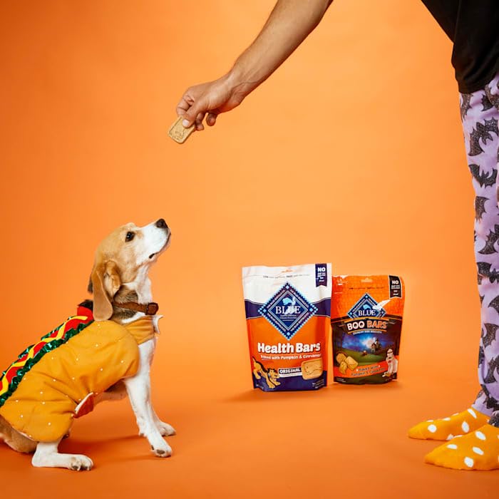 Blue Buffalo Health Bars Pumpkin & Cinnamon Dog Biscuits 16 oz