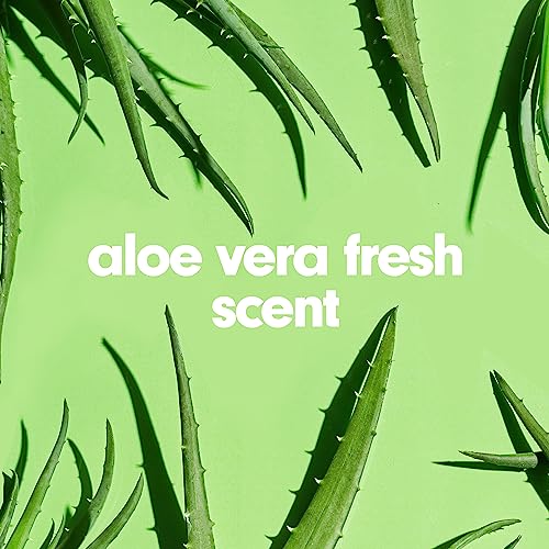 Softsoap Liquid Hand Soap Refill, Soothing Clean, Aloe Vera Fresh Scent - 1 gallon (Pack of 2)