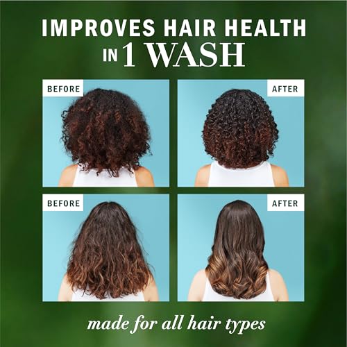 Herbal Essences Argan Oil Repair Shampoo & Conditioner Set 20.2oz
