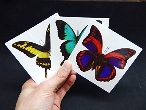 Large Butterfly Temporary Tattoos | 6 Sheets Water-Applied