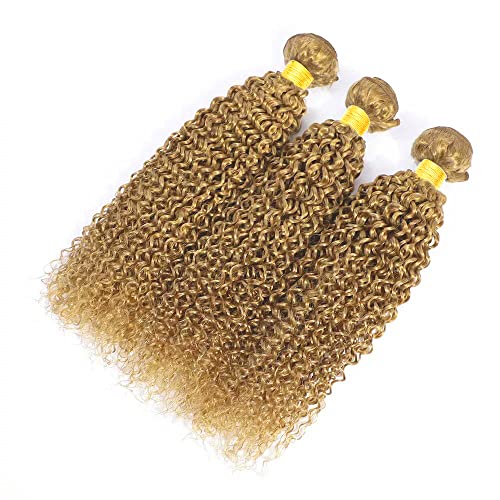 Honey Blonde Kinky Curly Hair Bundles - 330g, 3 Packs, 26-30 inch