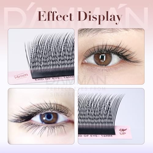 DAMMAN Slant Flying YY Lashes 0.07 Mix 9-14mm Fox Eyes
