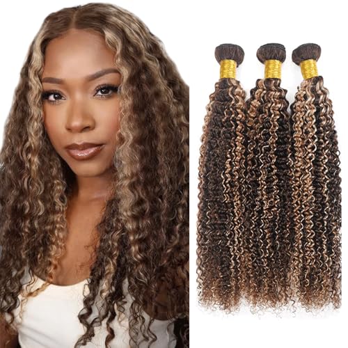 Fridnae Ombre Brown Curly Wave Human Hair Bundles - 12-16 Inch