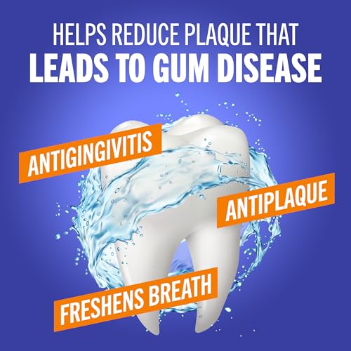 TheraBreath Healthy Gums Oral Rinse, Alcohol Free, 16 Fl Oz Pack