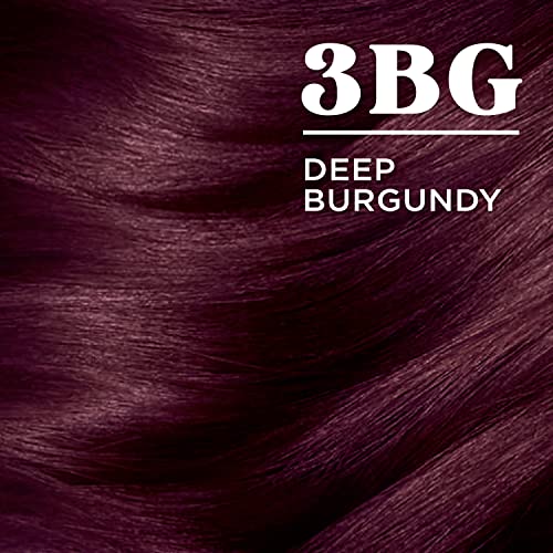 Clairol Nice'n Easy Permanent Hair Dye, 3BG Deep Burgundy Hair Color, Pack of 3