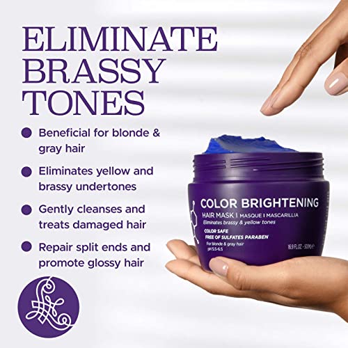 Luseta Purple Hair Mask for Blonde & Gray Hair 16.9oz