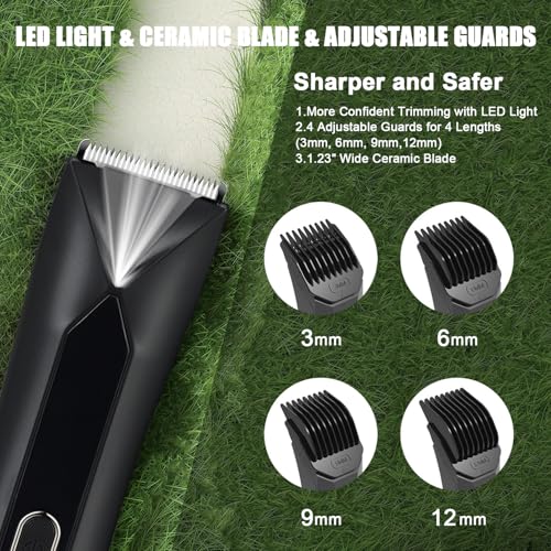 Men's Electric Body & Ball Hair Trimmer, 4-in-1 Ceramic Blade, Waterproof, Type C Charging, Black