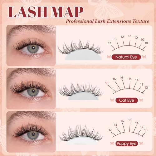 Wispy Lash Clusters 300pcs 10-16mm C Curl DIY Eyelash Extensions