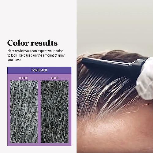 Just For Men Touch of Gray Hair Color Kit - Salt & Pepper Look