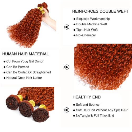 Fridnae Ginger Curly Wave Human Hair Bundles 18-22 Inch - Model #350JC