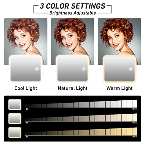 LED Makeup Case with Light Mirror & Adjustable Dividers