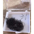 5D PREMADE (HAND MADE) FAN LASHES (500 FANS/TRAY) FOR EYELASH EXTENSION, D CURL, 0.07 THICKNESS, LENGTH FROM 9MM-15MM (D12mm5D)