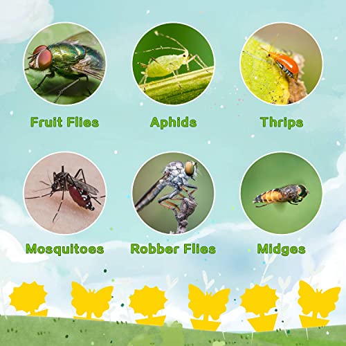 Mosqueda 36 Pack Yellow Sticky Fruit Fly & Gnat Traps for Indoor & Outdoor Plants