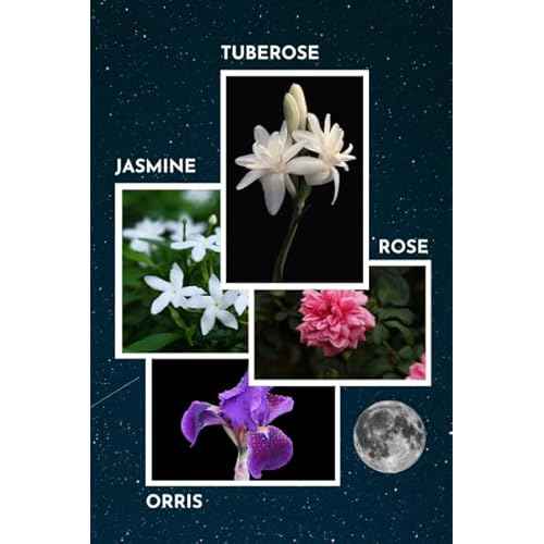 Herb & Root Moonflower Perfume Gift Set, Eau de Parfum, Rollerball, Body Butter, Makeup Case | Scent of Tuberose, Jasmine, Orris | White floral