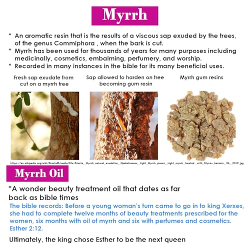 Queen Esther Myrrh Beauty Face Oil, Myrrh-Infused Skincare Essential Oils, Rosehip, Argan, Seabuckthorn, Pomegranate Seed Face Oil for Radiant Skin, 1.0 Fl Oz (Bulgarian Rose)