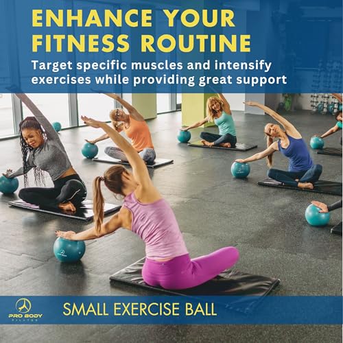 ProBody Pilates Ball Small Exercise Ball, 9 Inch Barre Ball, Mini Soft Yoga Ball, Workout Ball for Stability, Barre, Ab, Core, Physio and Physical Therapy Ball at Home Gym & Office (Silver)