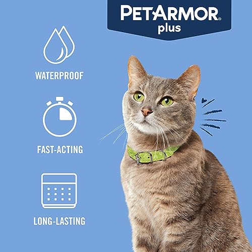 PetArmor Plus Flea and Tick Prevention for Cats, Cat Flea and Tick Treatment, 1 Dose, Waterproof Topical, Fast Acting, Cats Over 1.5 lbs