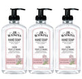 J.R. Watkins Rosewater Gel Hand Soap, 3 Pack 11 Fl Oz