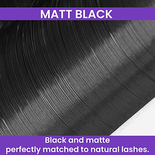 Round Lash Extension Russian Volume(0.03/14MM/D-Curl) Tray Wholesale Supplies,Pesta?as Mink Single Individual Eyelash Extensiones Case Matt Black(0.03/14MM/D-Curl)