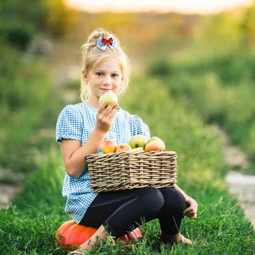 2PC Blue White Gingham Hair Bow Clips 3.5 Inch Checker Pigtail Bows Wizard Hair Accessories
