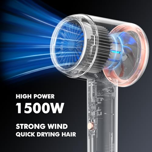 Black Professional Ionic Hair Dryer with Diffuser & Nozzle - Fast, Low Noise Styling