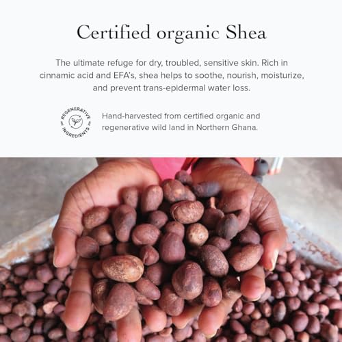 Organic Whipped Shea Butter Lip Balm with Raspberry Seed Oil