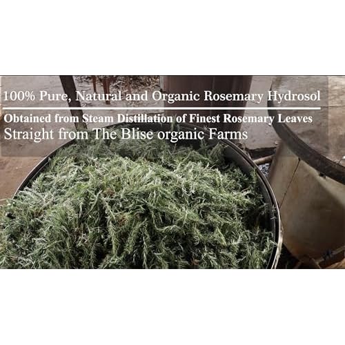 Rosemary mist (Hydrosol) - 100% Pure and Natural(100ml) For Hair fall control and Hair Growth (100ML(3.3 oz))