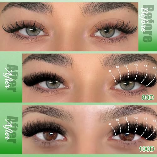 Lash Extension Kit with 684 Clusters, Bond & Seal Tools