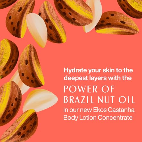 Natura - Brazil Nut Body Lotion Concentrate Castanha Refill
