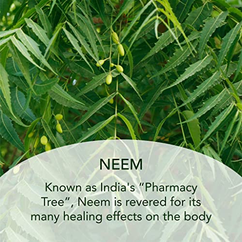 SUNDARI Neem and Blood Orange Body Lotion, 6.8 Fl Oz, Intensive All-Natural Hydration, Skin Repair, Refresh Skin, Energizing Lotion, Absorbs Quickly