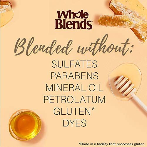 Garnier Whole Blends Sulfate Free Remedy Honey Treasures Replenishing Shampoo for Very Damaged Hair,12 Fl Oz (355ml) (Packaging May Vary) - 1 Count