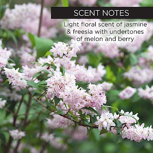 Whish Botanical Primer with Bakuchiol - Minimizes Pores, Wrinkles & Evens Skin Tone With Natural Retinol Alternative - Hydrating Makeup Primer For All Skin Types - Paraben & Sulfate Free - 2 oz