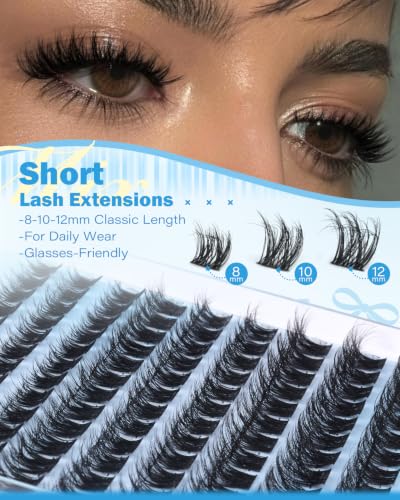Wispy Lash Clusters 8-12mm D Curl Fluffy Eyelash Extensions