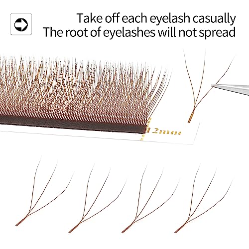 Brown 3D W Lash Extensions 0.07mm C/D Curl Premade Fans