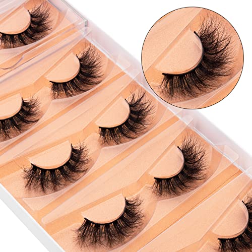 DYSILK Fluffy Mink Lashes 5 Pairs 6D 16mm