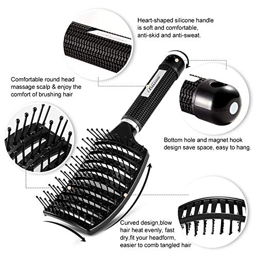 Curved Vented Hair Brush for Blow Drying & Detangling