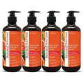 Natural Solution Body Wash, Revitalizes & Refreshing Your Skin, Formulated with Organic Blood Orange Extracts with Himalayan Pink Salt, 17 fl oz/Each ? Pack of 4