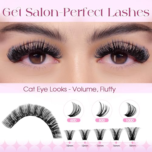 Wendy Lash Clusters Kit - 980 Pcs, 10-18mm Mixed, D Curl
