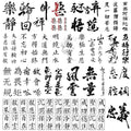 Chinese Character Temporary Tattoos - 30 Sheets Waterproof Fake Tattoos