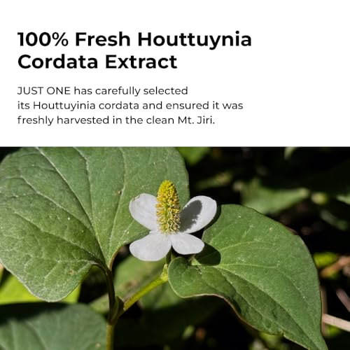 BOM Cosmetics Just One Houttuynia Cordata Extract 5.07 Fl. Oz, Facial Toner with 100% Herbal Extract, Hydrating & Soothing Toner for Face & Scalp, Vegan, Korean Skincare