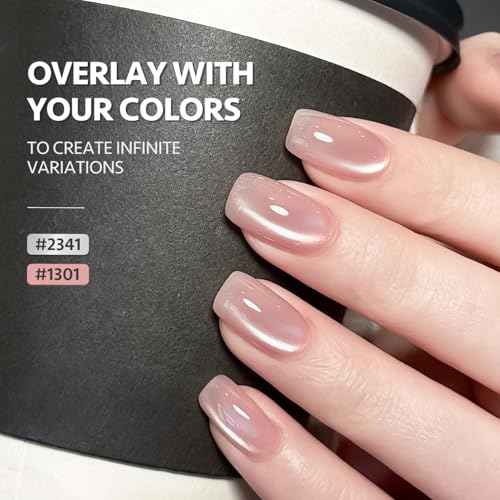 GAOY Glassy Cat Eye Gel Nail Polish, 16ml Glitter Holographic UV Gel Polish with Magnet, Reflective Translucent, 2341 Silvery Moonlight
