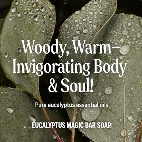 Dr. Bronner's Pure-Castile Magic Bar Soaps (Eucalyptus, 5oz, 12-Pack) ? Made with RegeOrganic Oils, Soap Bars for Men & Women, Gentle for Face & Sensitive Skin, Vegan, Cruelty-Free, Non-GMO