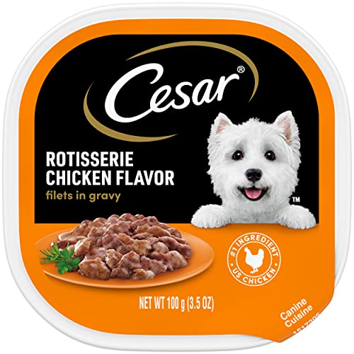 CESAR Filets in Gravy Adult Wet Dog Food, Rotisserie Chicken Flavor, 3.5 oz., Pack of 24