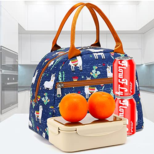 FlowFly Lunch Bag Tote Bag Lunch Organizer Lunch Holder Insulated Lunch Cooler Bag for Women/Men,Owl