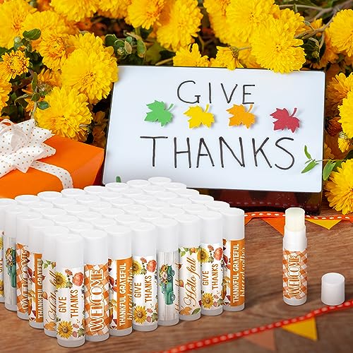 25 Pcs Thanksgiving Christmas Party Gifts Bulk Thanksgiving Lip Balms Favors Holiday Basket Stuffers Christmas Stocking Stuffers Small Thank You Gifts for Women Men (Honey Flavor)