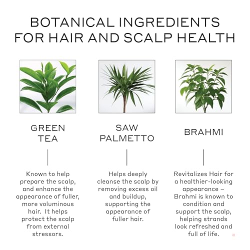 ZENAGEN Revolve Men's Thickening Shampoo | Supports Appearance of Fuller, Healthier-Looking Hair, Developed for Fine & Visibly Thinning Hair, Plant-Based, Color-Safe, 5-Minute Treatment