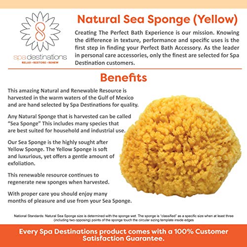 Natural Sea Sponge Small 4-5" by Spa Destinations¢çCreating The Perfect Bath and Shower Experience Amazing Natural Renewable Resource!
