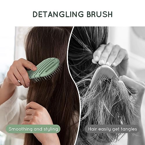 Detangler Hairbrush for Wet & Dry Hair | Gentle Bristles