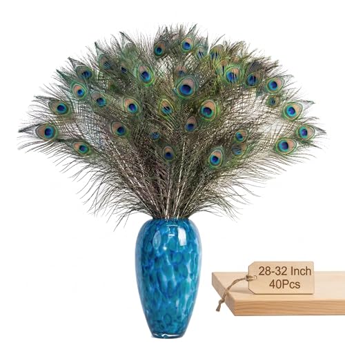 40 Pcs Natural Peacock Feathers 28-32 Inch for Vases & Decor
