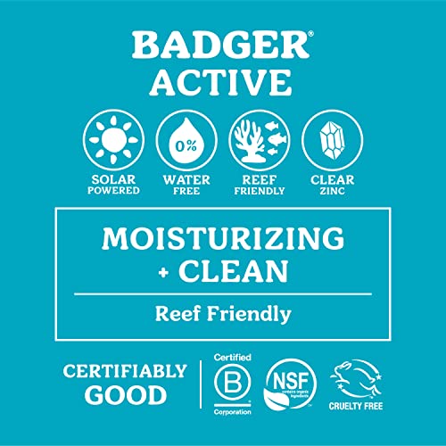 Badger SPF 40 Reef Safe Sport Sunscreen and SPF 35 Sunscreen Face Stick